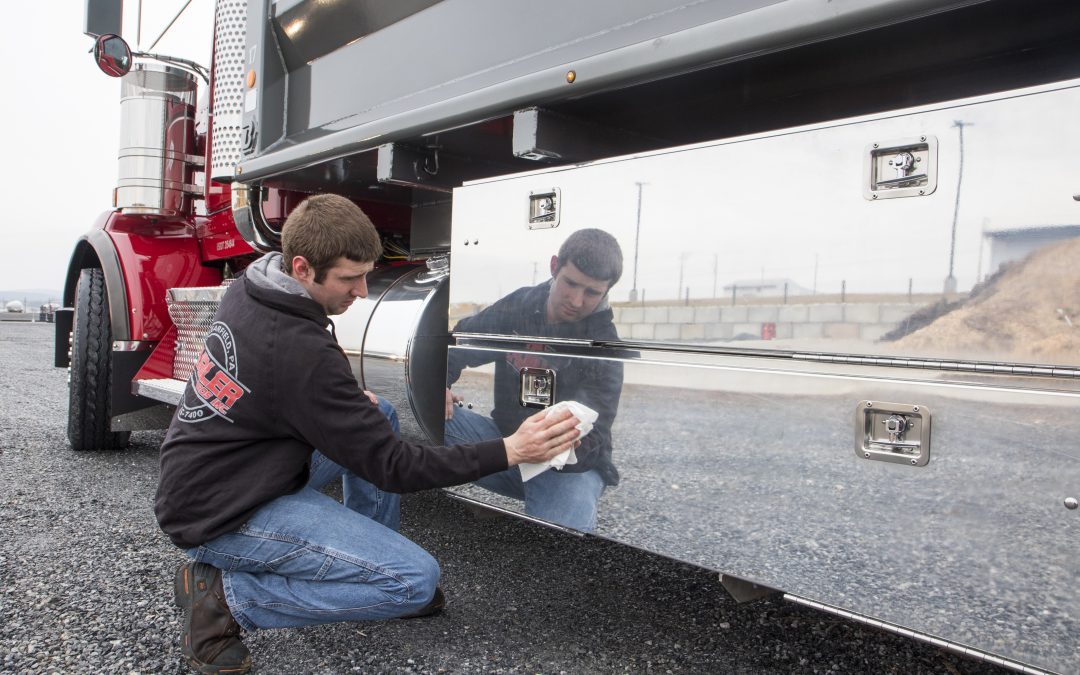 Trusted Tree Care Since 1990 Martin Tree Service