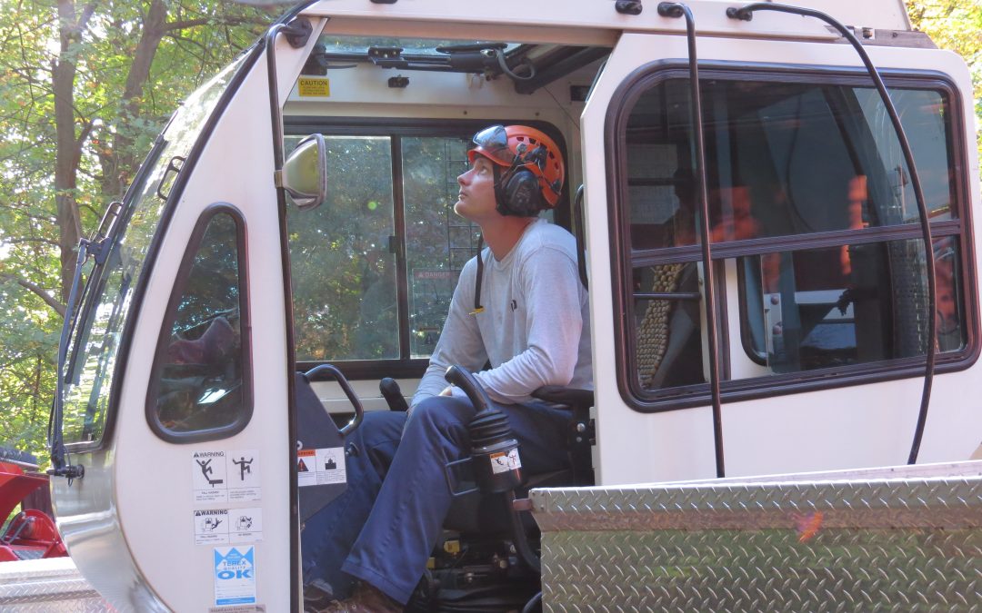 Trusted Tree Care Since 1990 Martin Tree Service