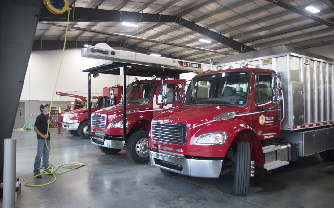 Trusted Tree Care Since 1990 Martin Tree Service