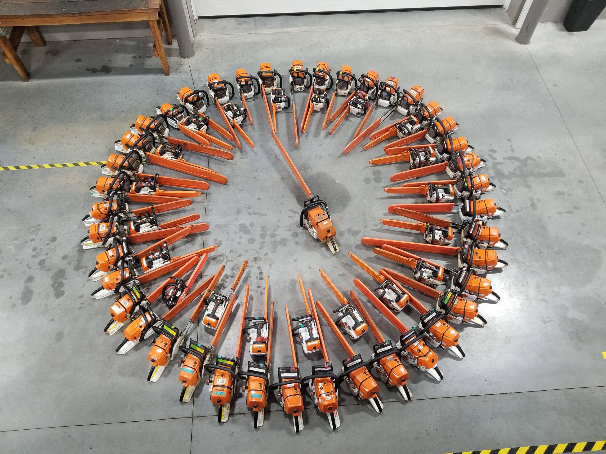 Chainsaws Martin Tree Service