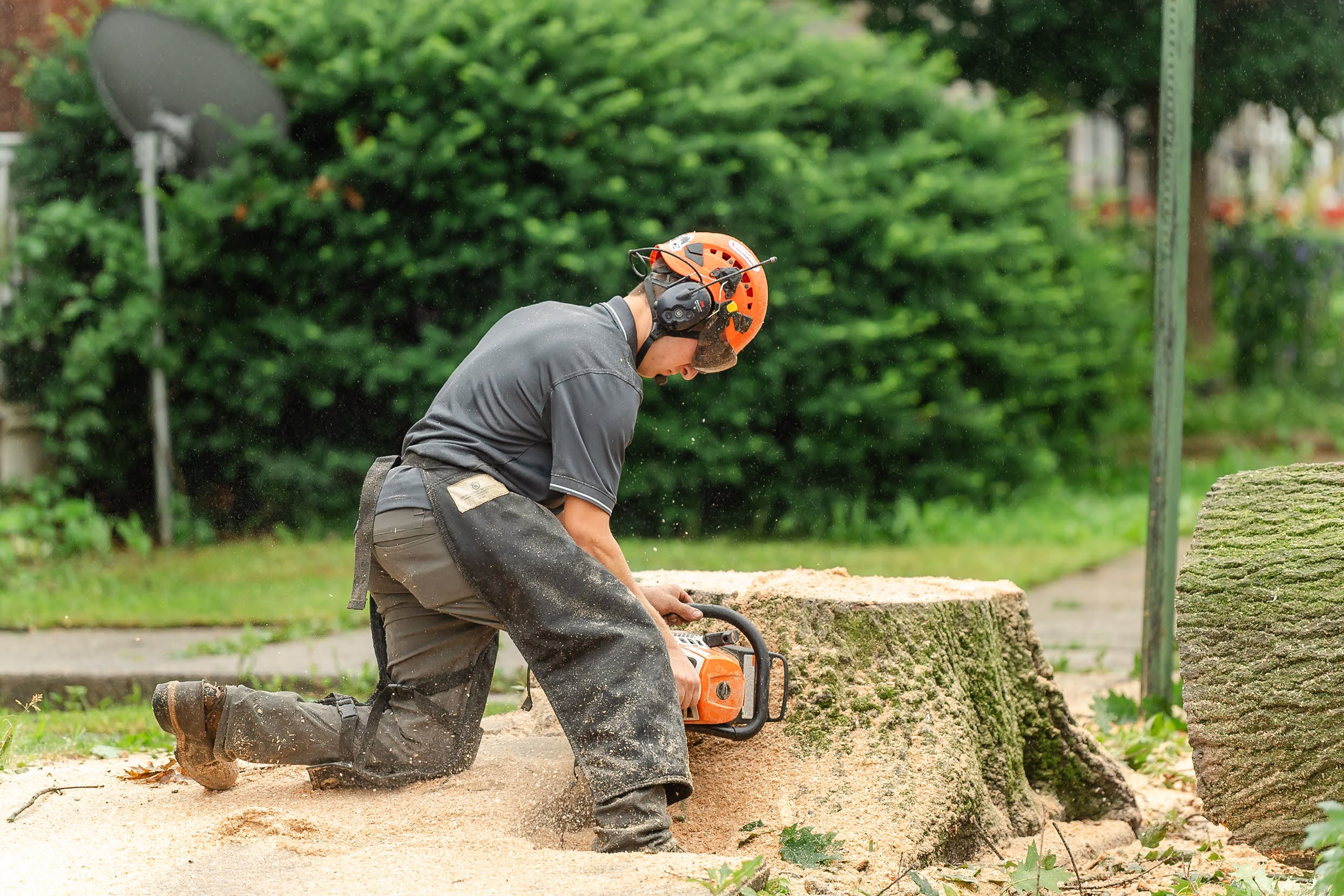 Hiring at Martin Tree Service