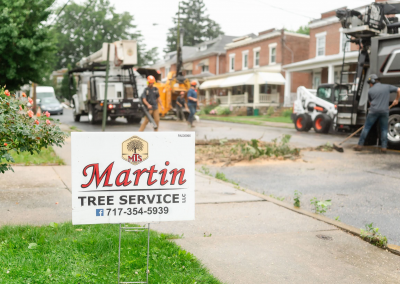 MTS-174 Job sign Martin Tree Service