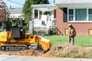 Stump Grinding at Martin Tree Service