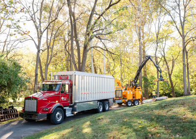 martintreeservice-42 Martin Tree Service has good equipment