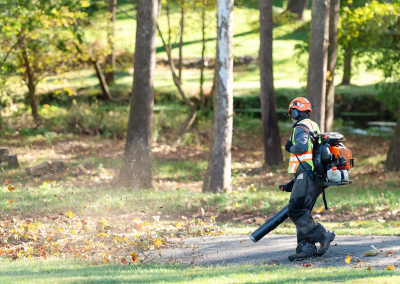 martintreeservice-68