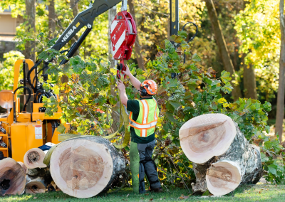 martintreeservice-98