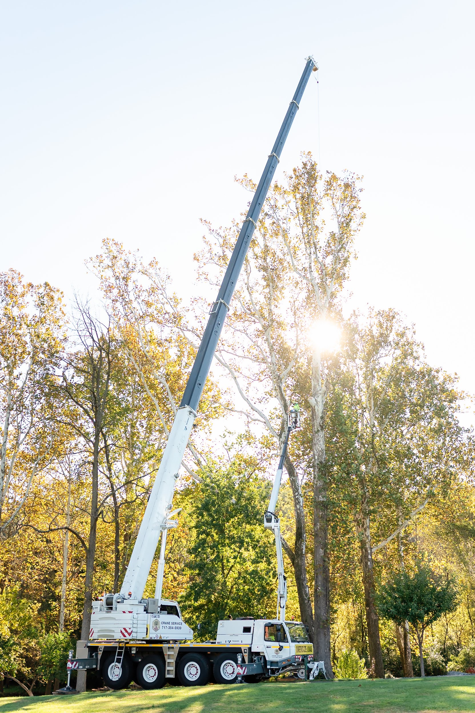 Crane Service By Martin Tree Service